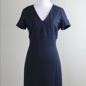 COPY - BROOKS BROTHERS Pin Dot Stretch Lined V-Neck Dress
